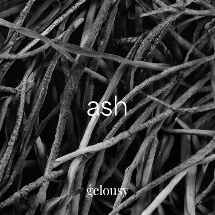 Gelousy Ash Gel Nail Polish Inspirational Image