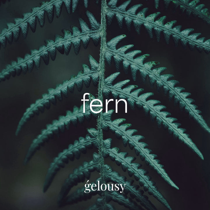 Gelousy Fern Gel Polish - Inspirational Image of a Fern leaf