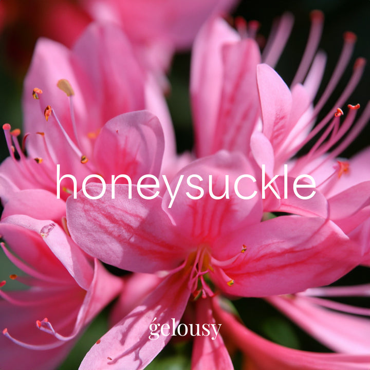 Gelousy Honeysuckle Gel Polish - Inspirational Image of Pink Flowers